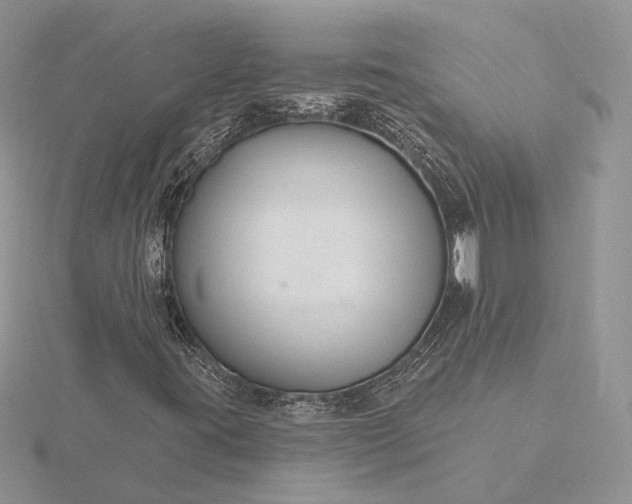 X0000116161395200912071315