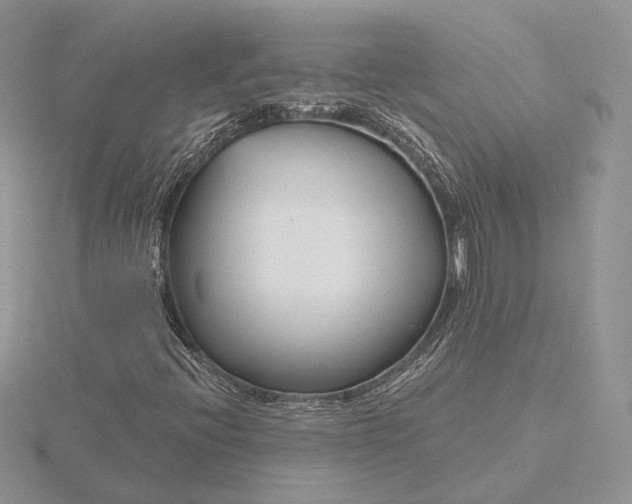 X0000116161396200912071315