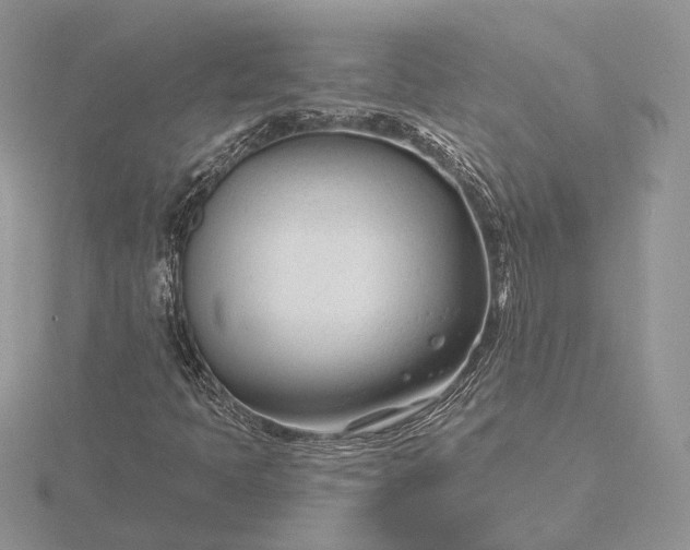 X0000116161397200912071315