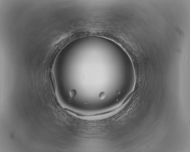 X0000116161398200912071315