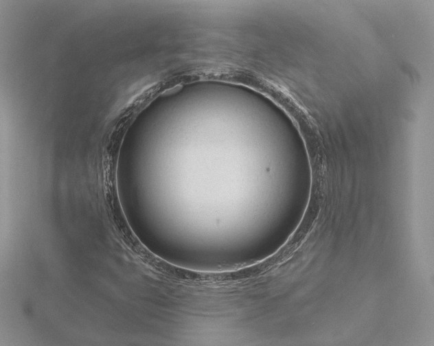 X0000116161399200912071315