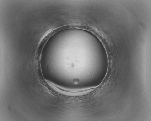 X0000116161400200912071315