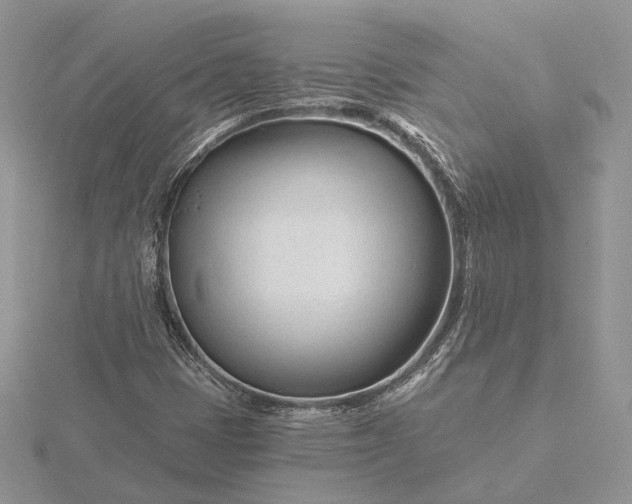 X0000116161401200912071315