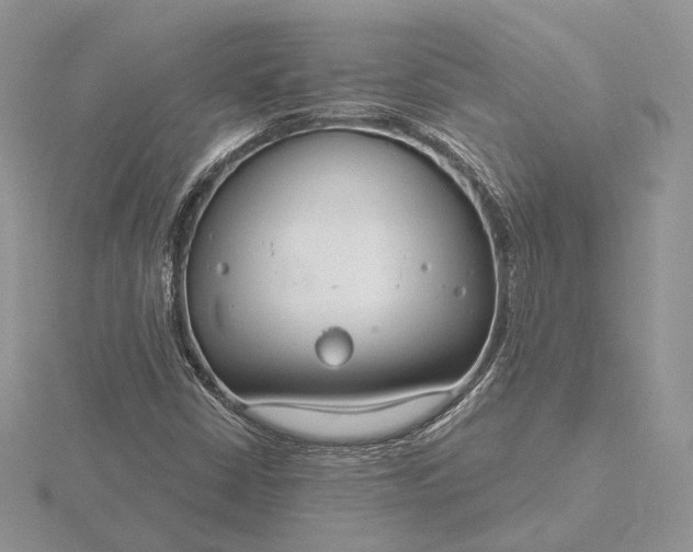 X0000116161402200912071315