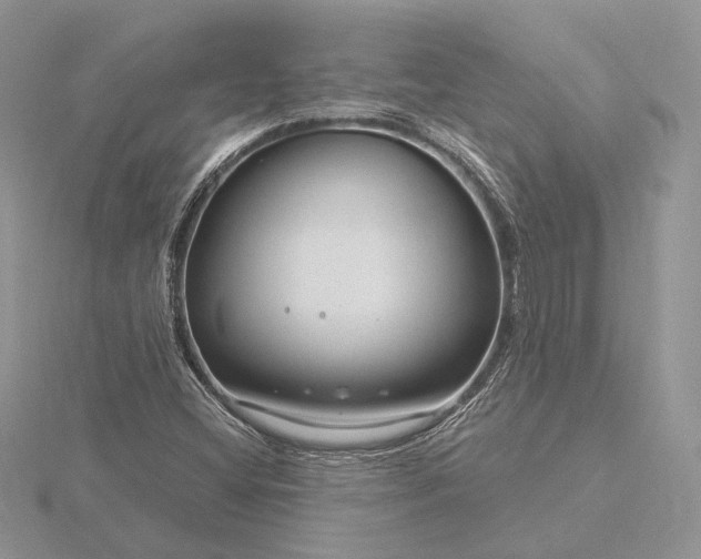 X0000116161404200912071315