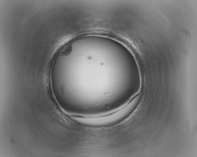 X0000116161405200912071315