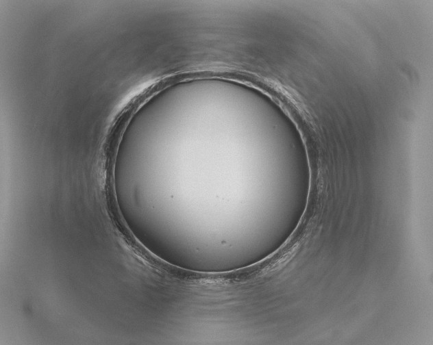 X0000116161406200912071315