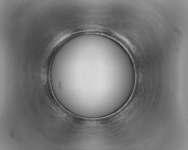 X0000116161407200912071315