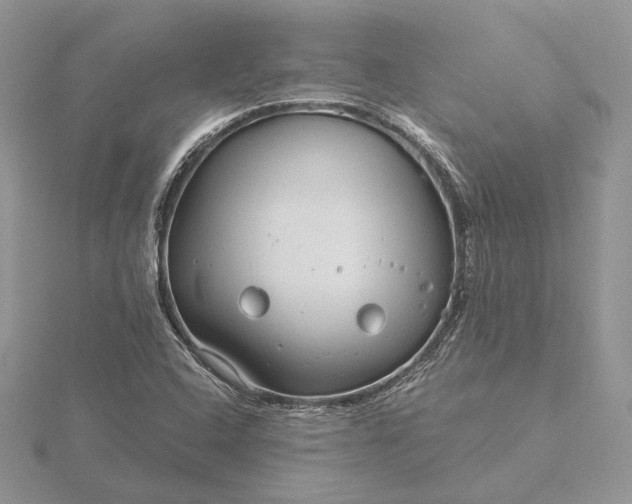 X0000116161408200912071315