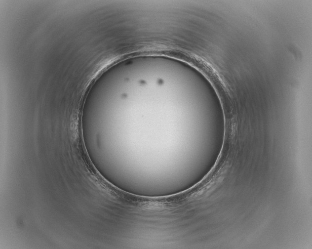 X0000116161409200912071315