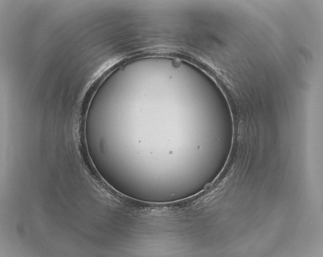 X0000116161410200912071315