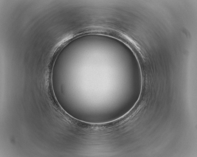 X0000116161411200912071315