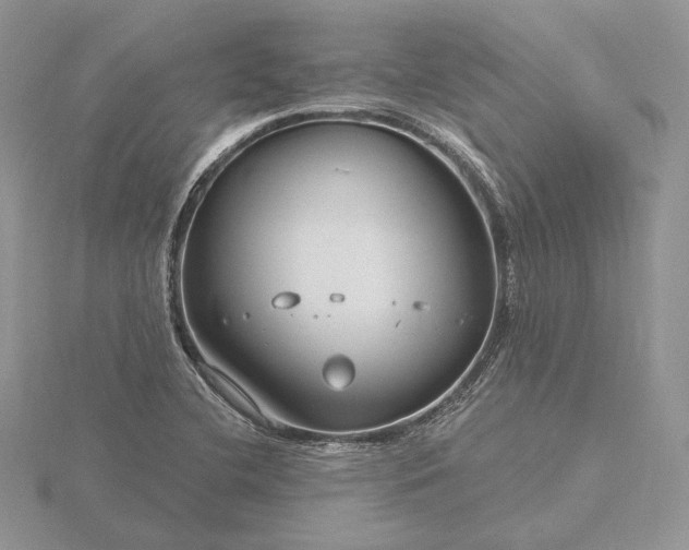 X0000116161412200912071315