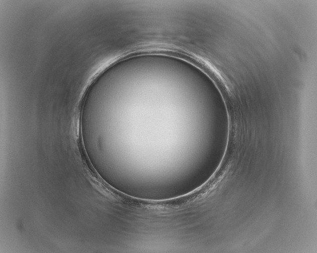 X0000116161413200912071315