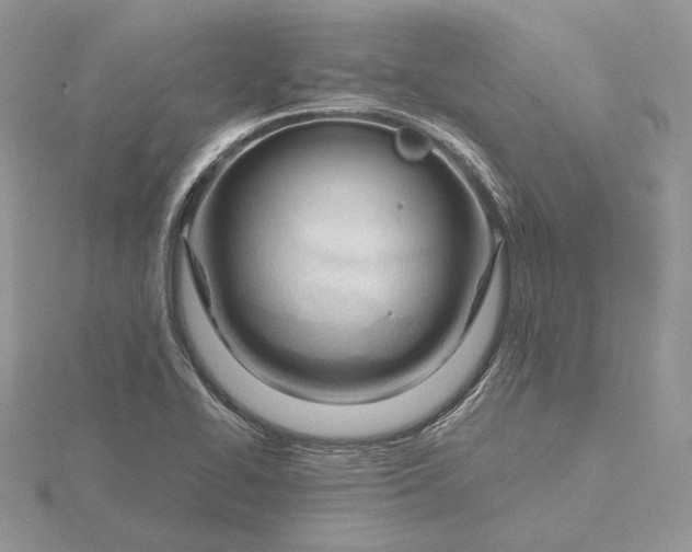 X0000116161414200912071315