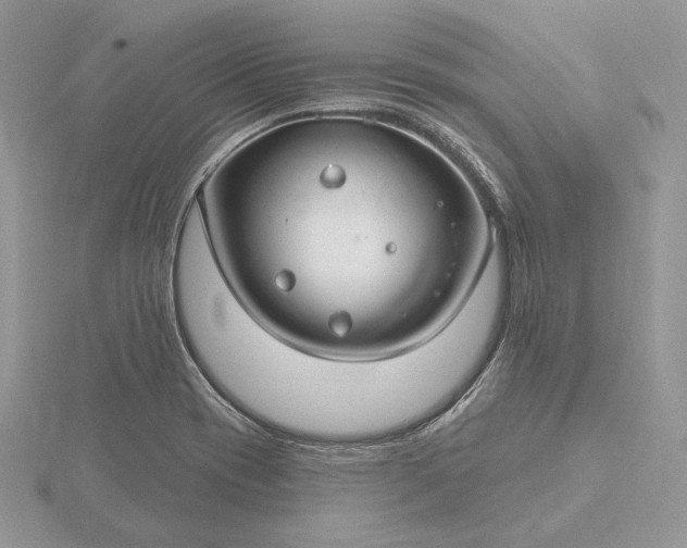 X0000116161417200912071315