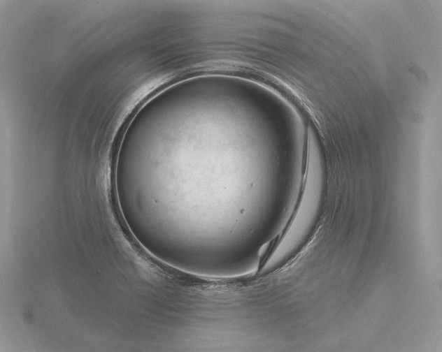 X0000116161418200912071315