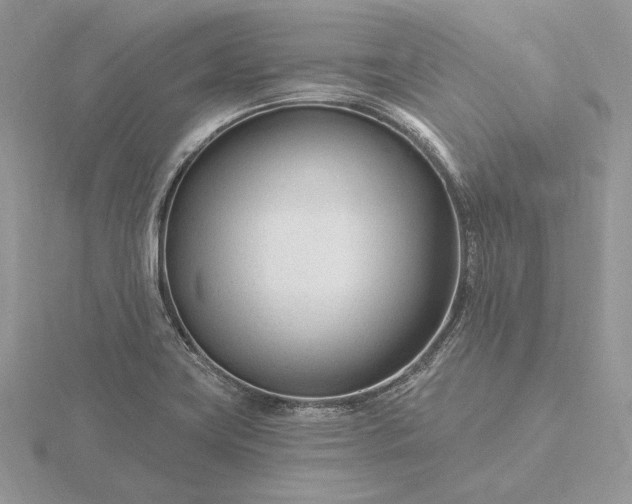 X0000116161419200912071315