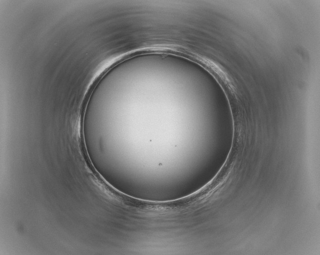 X0000116161420200912071315