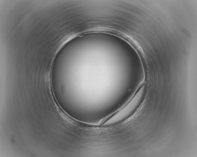 X0000116161425200912071315