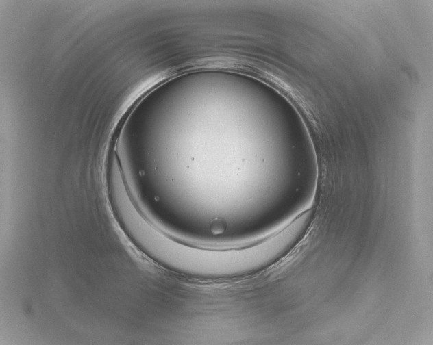 X0000116161426200912071315