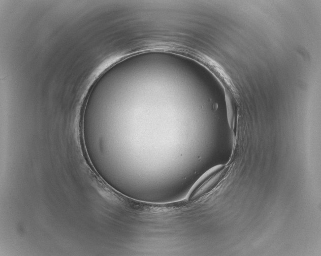 X0000116161427200912071315