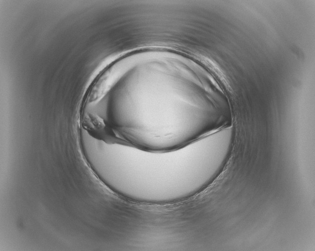 X0000116161428200912071315