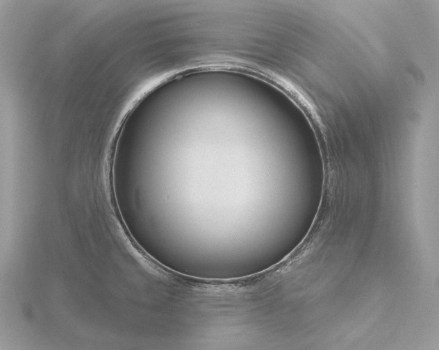 X0000116161429200912071315