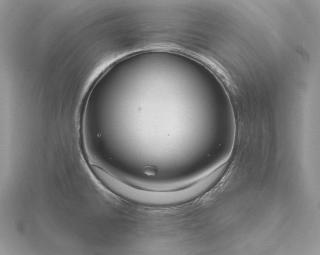 X0000116161430200912071315