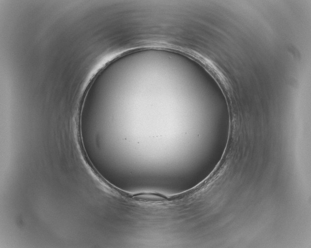 X0000116161432200912071315