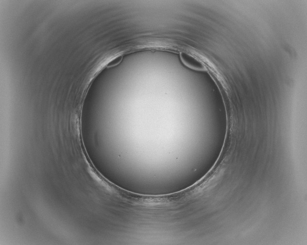 X0000116161433200912071315