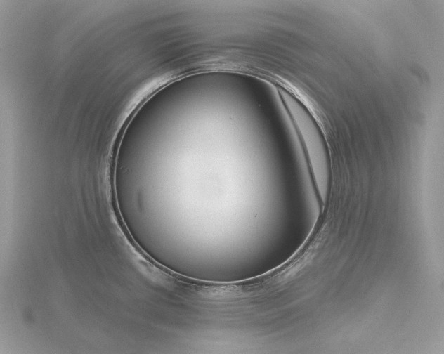 X0000116161434200912071315