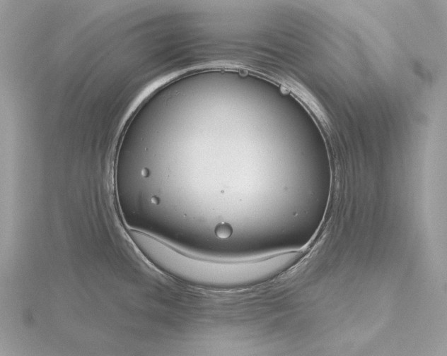 X0000116161436200912071315