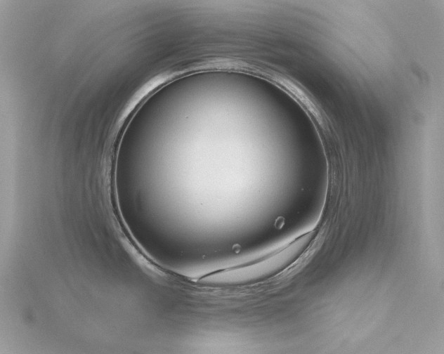 X0000116161438200912071315