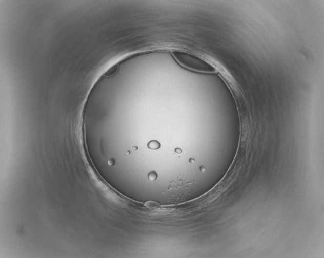 X0000116161439200912071315