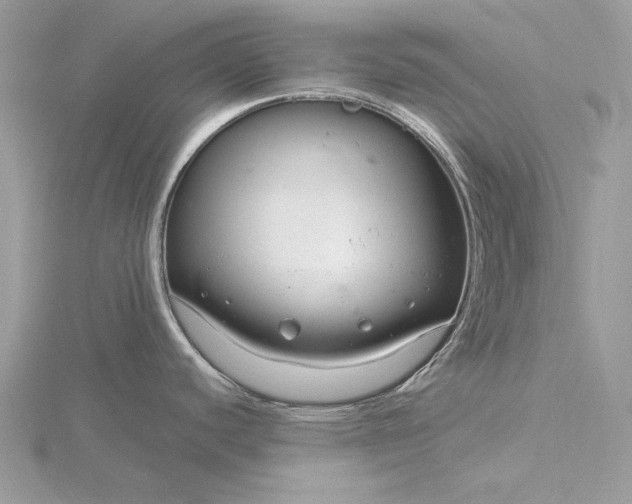 X0000116161440200912071315