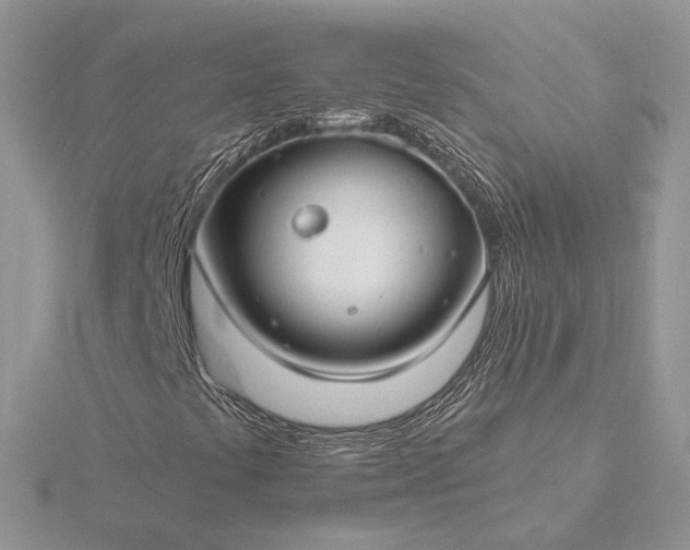 X0000116161441200912071315