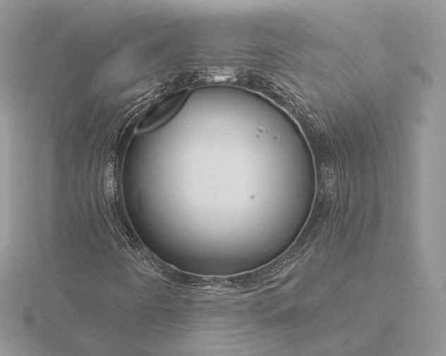 X0000116161442200912071315