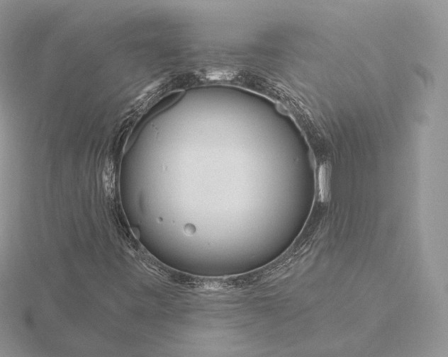 X0000116161443200912071315