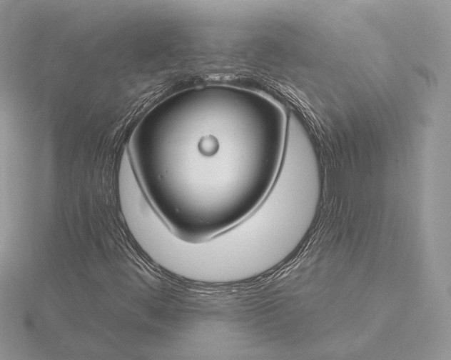 X0000116161444200912071315