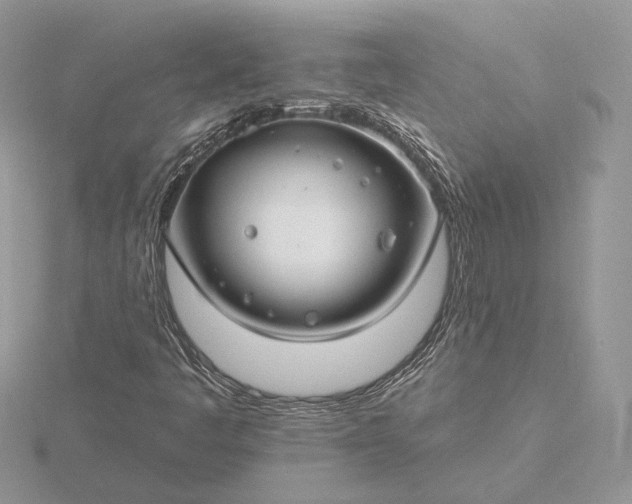 X0000116161445200912071315