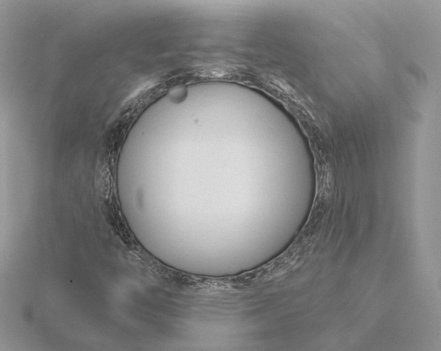 X0000116161446200912071315