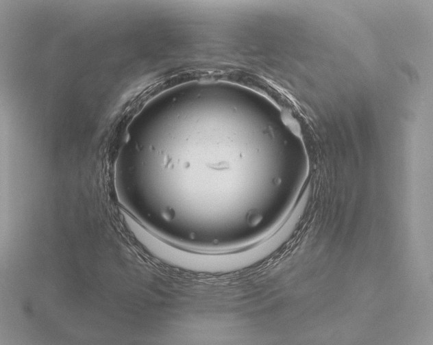 X0000116161447200912071315