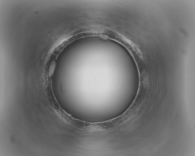 X0000116161448200912071315