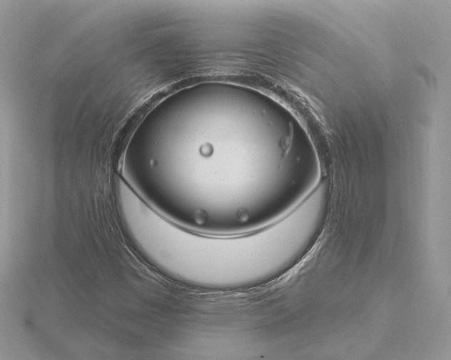 X0000116161449200912071315