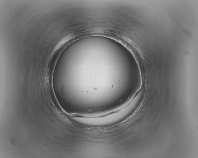 X0000116161450200912071315