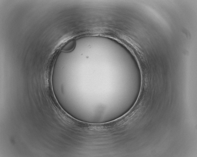 X0000116161451200912071315