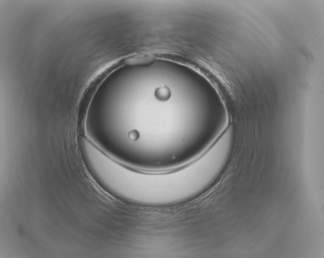 X0000116161452200912071315