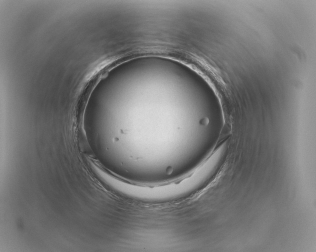 X0000116161453200912071315