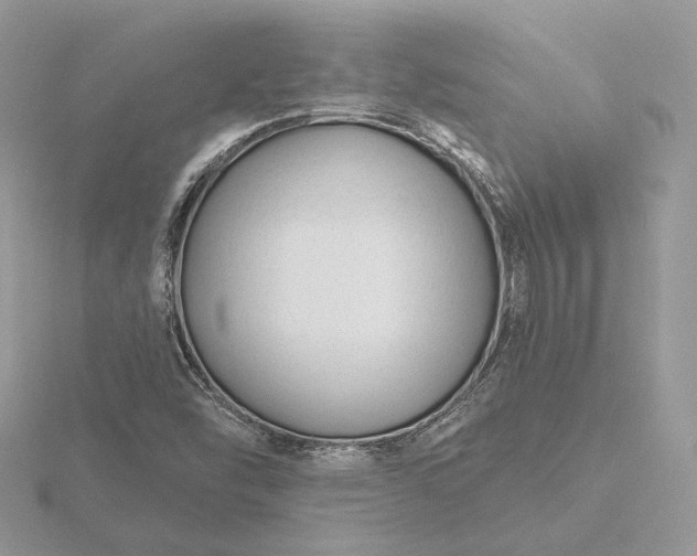 X0000116161454200912071315